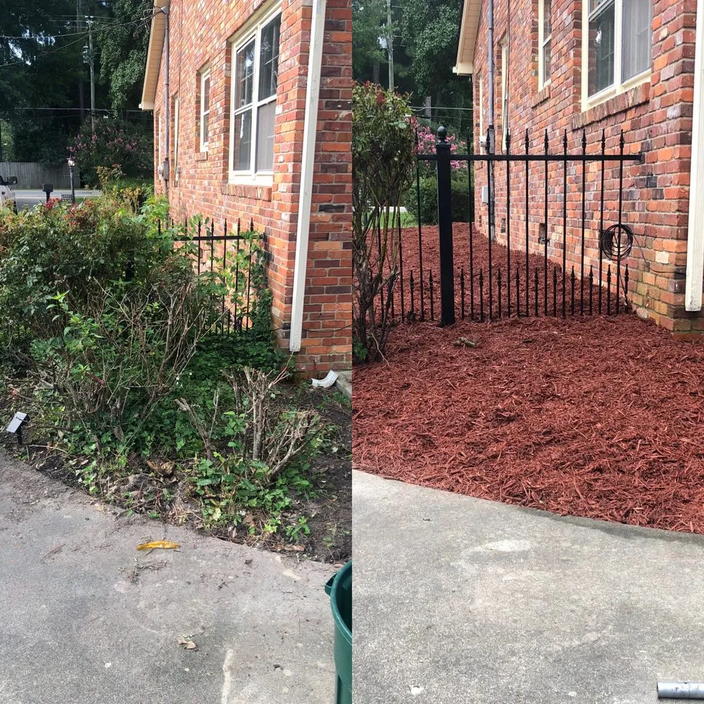 Top-rated yard maintenance in Fayetteville, NC - Hams Lawn Care Services