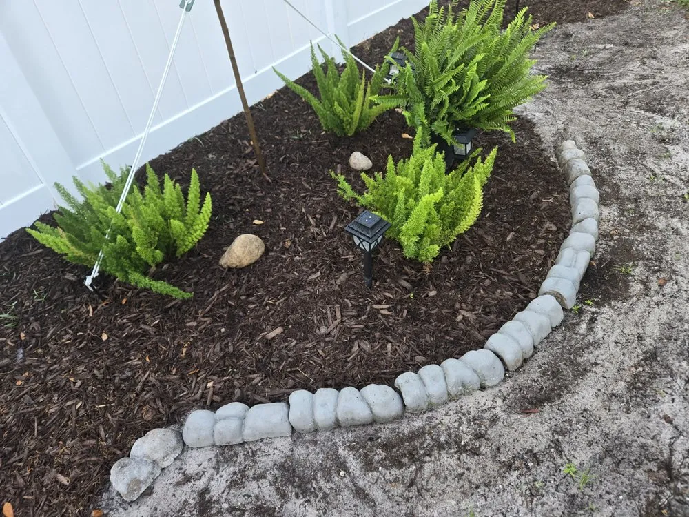 Top-rated lawn care service in Tampa Bay, FL by Hamtons Landscapings