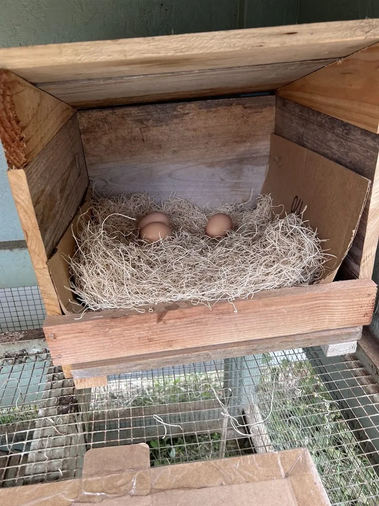 Local residential landscaping for year-round maintenance in Ewa Beach, HI by Hana Island Services