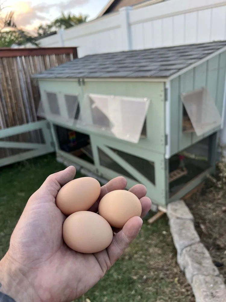 Local landscape design in Ewa Beach, HI - Hana Island Services