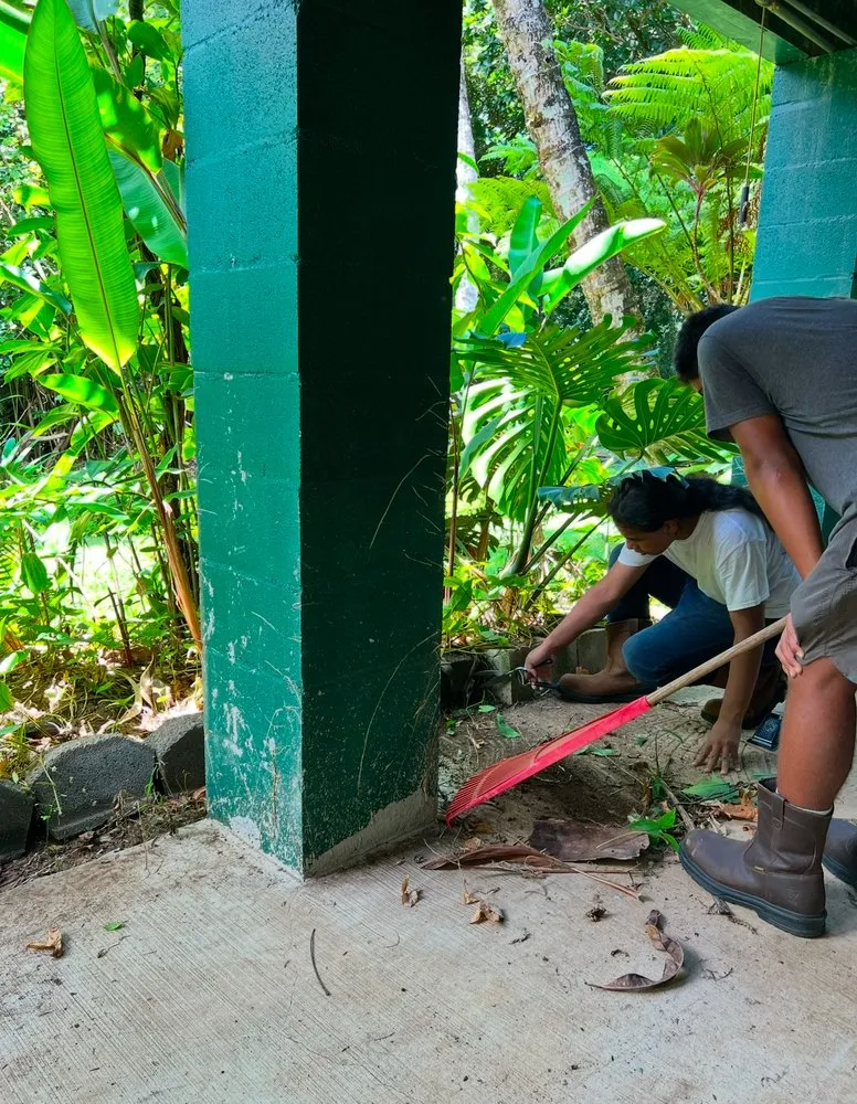 Local lawn mowing service for year-round maintenance across Anahola, HI - Hana Maika’i I Napomaika’i