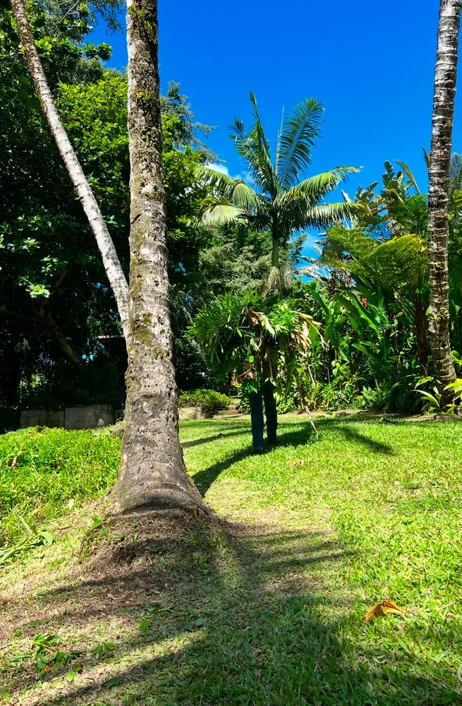 Affordable residential landscaping near you in Anahola, HI by Hana Maika’i I Napomaika’i