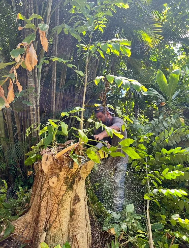 Top-rated lawn care service for outdoor upgrades in Anahola, HI by Hana Maika’i I Napomaika’i