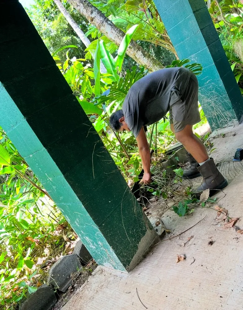 Reliable outdoor landscaping in Anahola, HI - Hana Maika’i I Napomaika’i