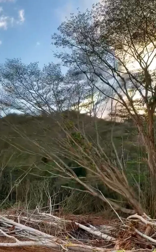 Affordable garden landscaping in Anahola, HI - Hana Maika’i I Napomaika’i