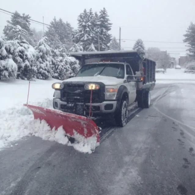 Reliable yard cleanup service in Philadelphia, PA by Hanagan Landscaping
