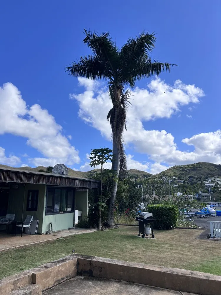 Reliable lawn care service in Ewa Gentry, HI by Hanapaa Lawn Service