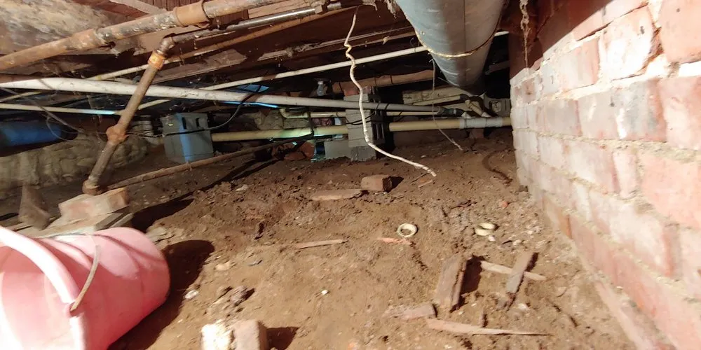 Professional lawn care service experts serving Kokomo, IN - Hancock Service Company