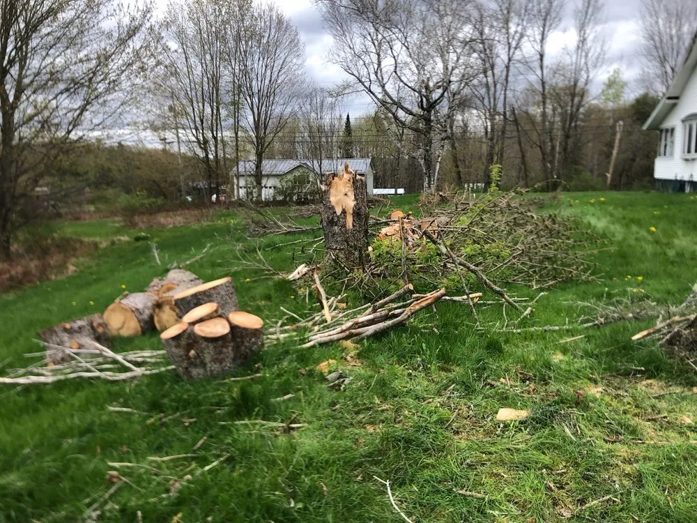 Professional yard cleanup service in Sabattus, ME by Hand Landscape