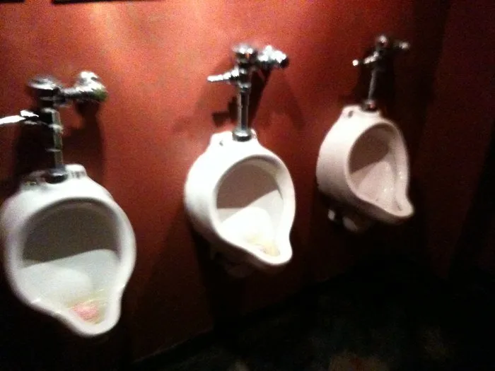 Expert lawn mowing service for outdoor upgrades across Dade City, FL - Handcart Garden Center