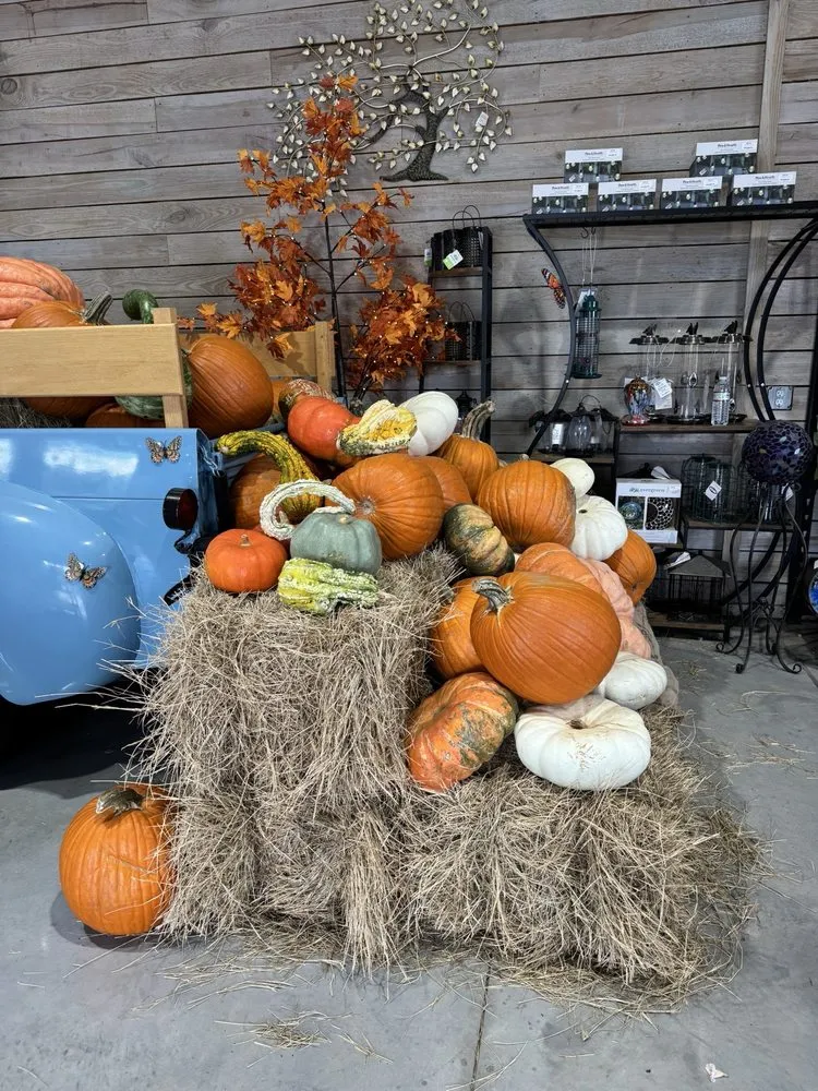 Reliable garden landscaping near you in Dade City, FL by Handcart Garden Center