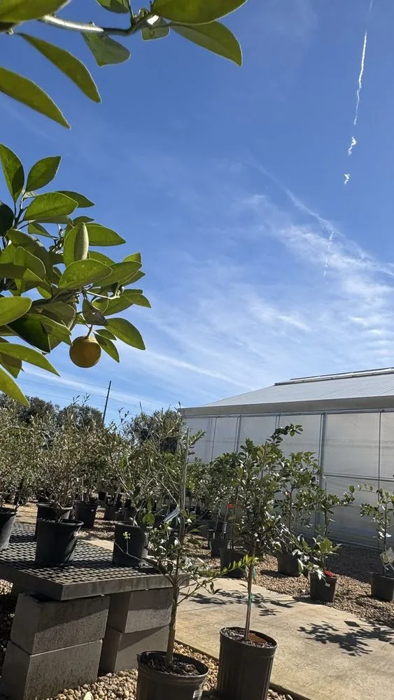 Custom landscaping services in Dade City, FL by Handcart Garden Center