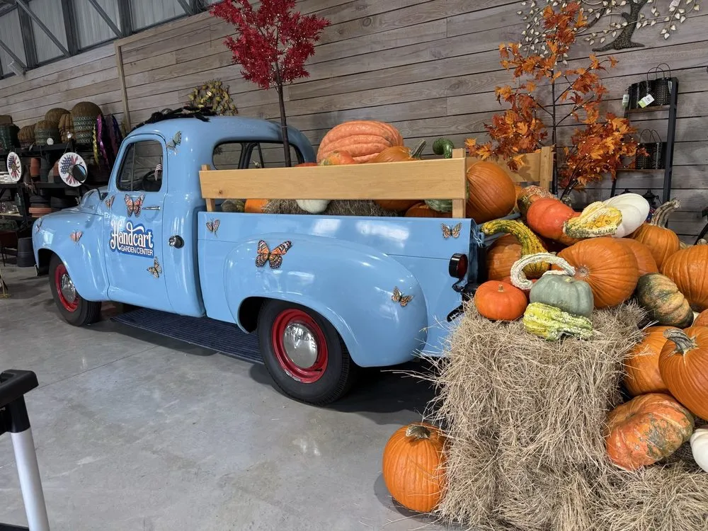 Top-rated lawn mowing service experts serving Dade City, FL - Handcart Garden Center