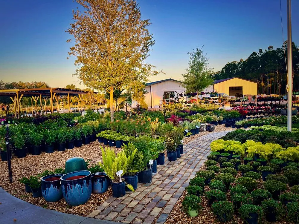 Professional yard cleanup service experts serving Dade City, FL - Handcart Garden Center