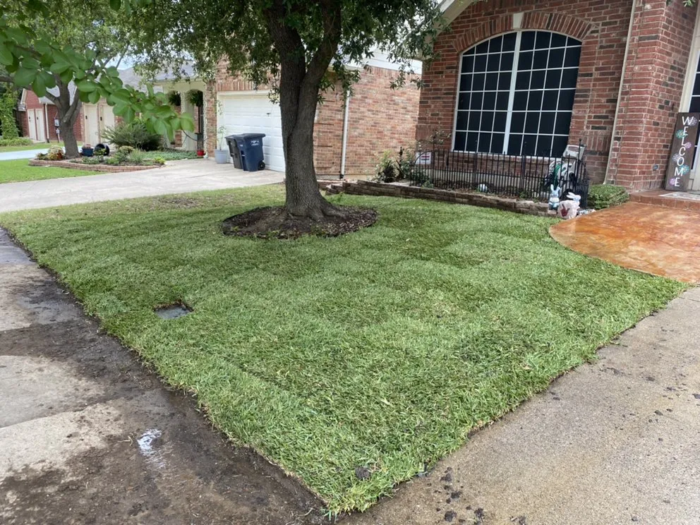 Reliable landscaping services for homes across Fort Worth, TX - HandCrafted Landscape Maintenance