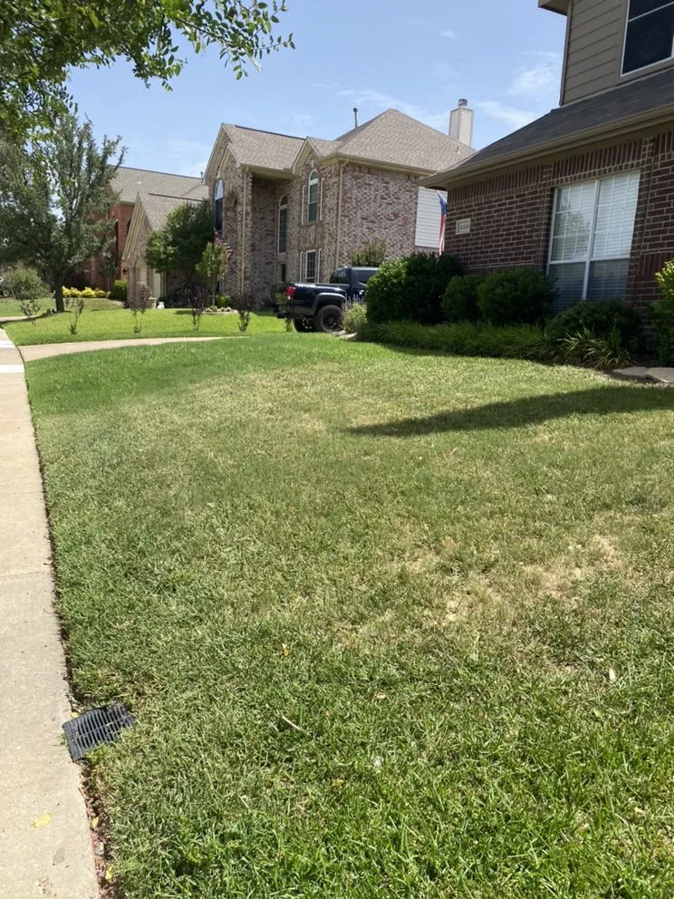 Local yard cleanup service for year-round maintenance across Fort Worth, TX - HandCrafted Landscape Maintenance
