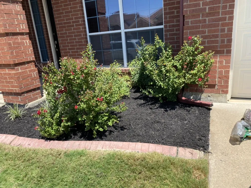 Top-rated landscaping services in Fort Worth, TX - HandCrafted Landscape Maintenance