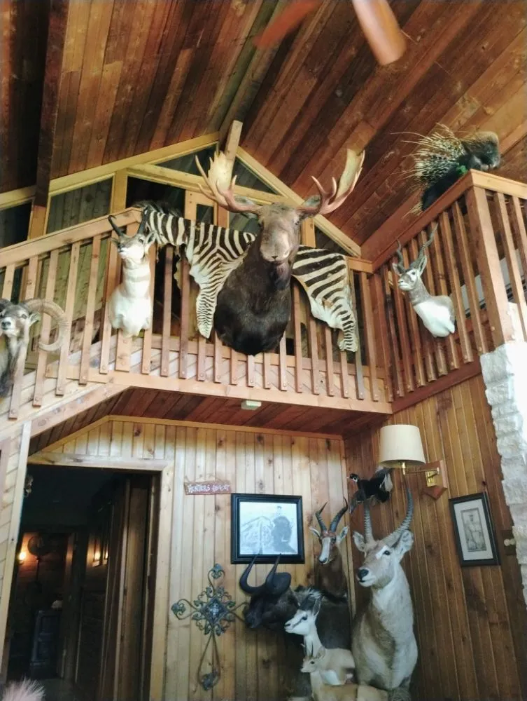 Reliable lawn mowing service in Tomball, TX by Hande Handyman Assistance Network