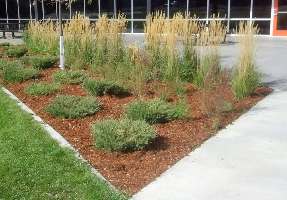 Top-rated outdoor landscaping in Worland, WY - Handford's Sprinkler & Landscape