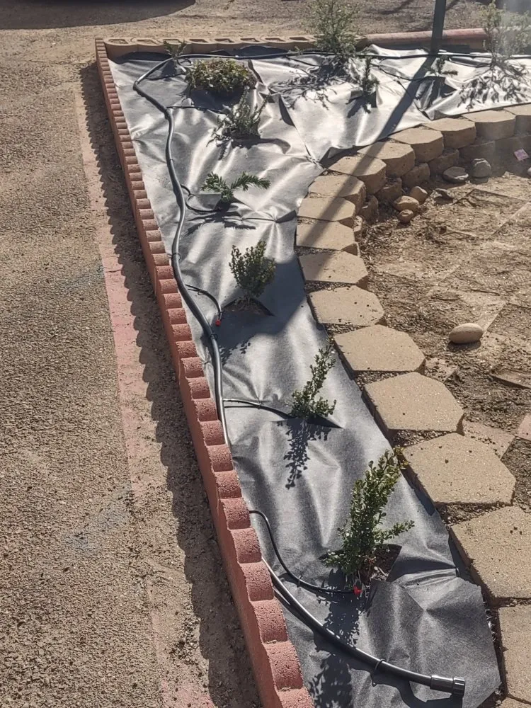 Reliable outdoor landscaping with custom design across Campo, CA - Handi Scapes