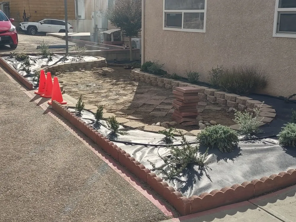 Affordable yard cleanup service in Campo, CA by Handi Scapes