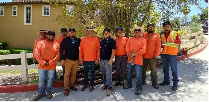 Reliable yard cleanup service in Campo, CA - Handi Scapes