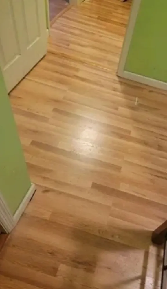 Expert lawn care service experts serving Cullman, AL - Handipro Solutions