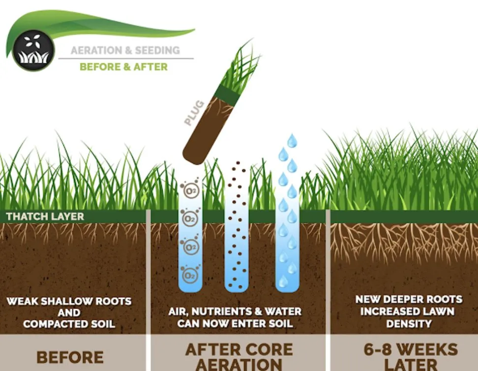 Affordable garden landscaping for beautiful yards in Youngstown, OH by Handles With Care