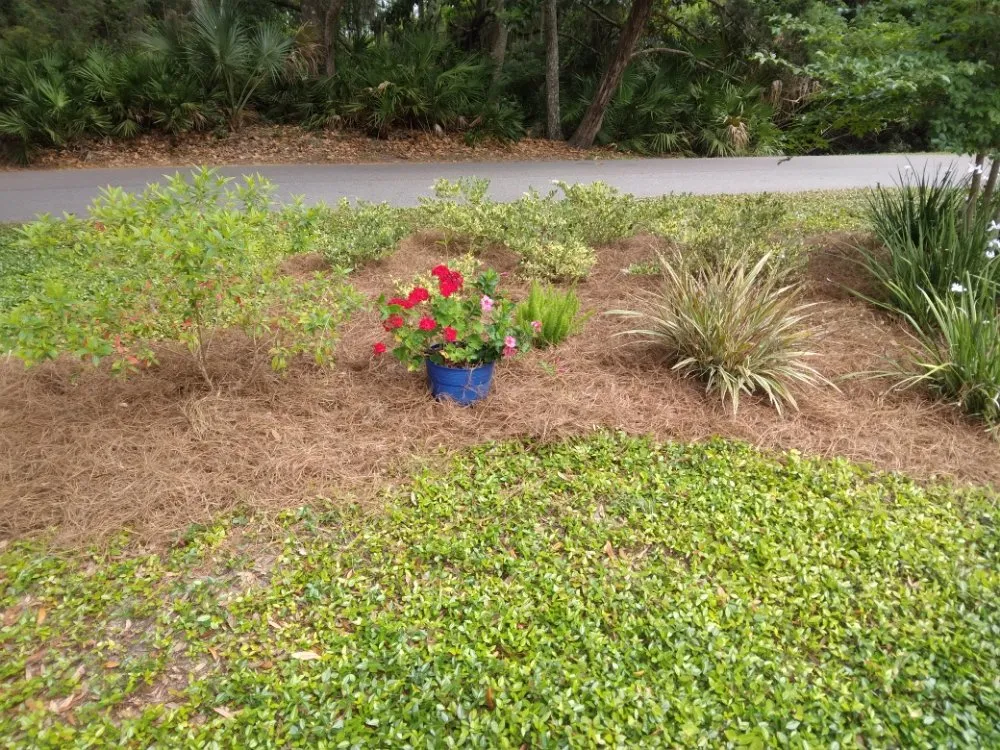 Professional residential landscaping in Hilliard, FL by Handley's Services