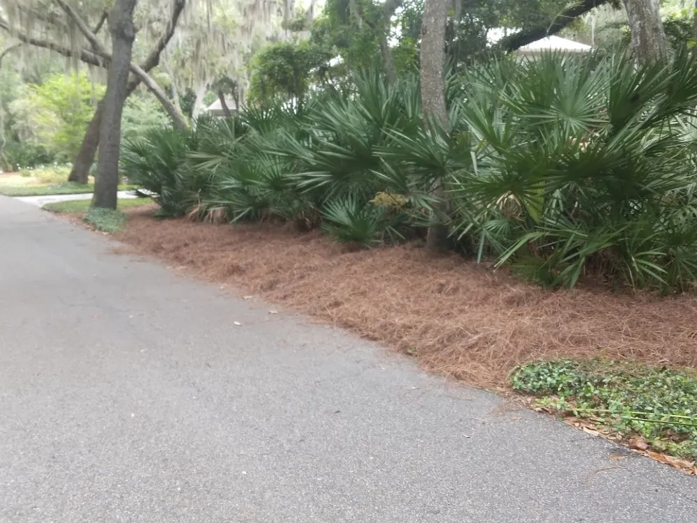 Top-rated garden landscaping in Hilliard, FL - Handley's Services