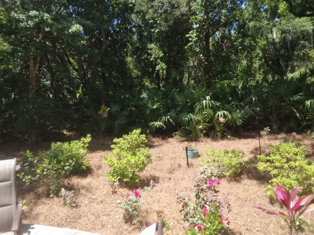 Local landscape design in Hilliard, FL by Handley's Services