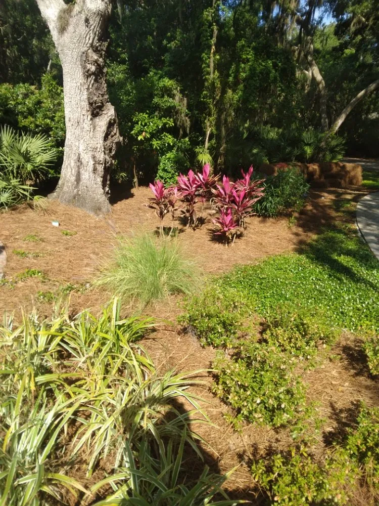 Custom landscape installation with custom design across Hilliard, FL - Handley's Services