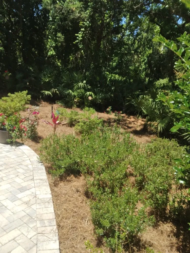 Trusted lawn care service in Hilliard, FL by Handley's Services