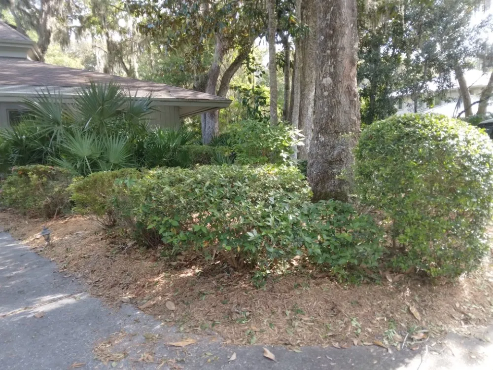 Custom lawn care service near you across Hilliard, FL - Handley's Services