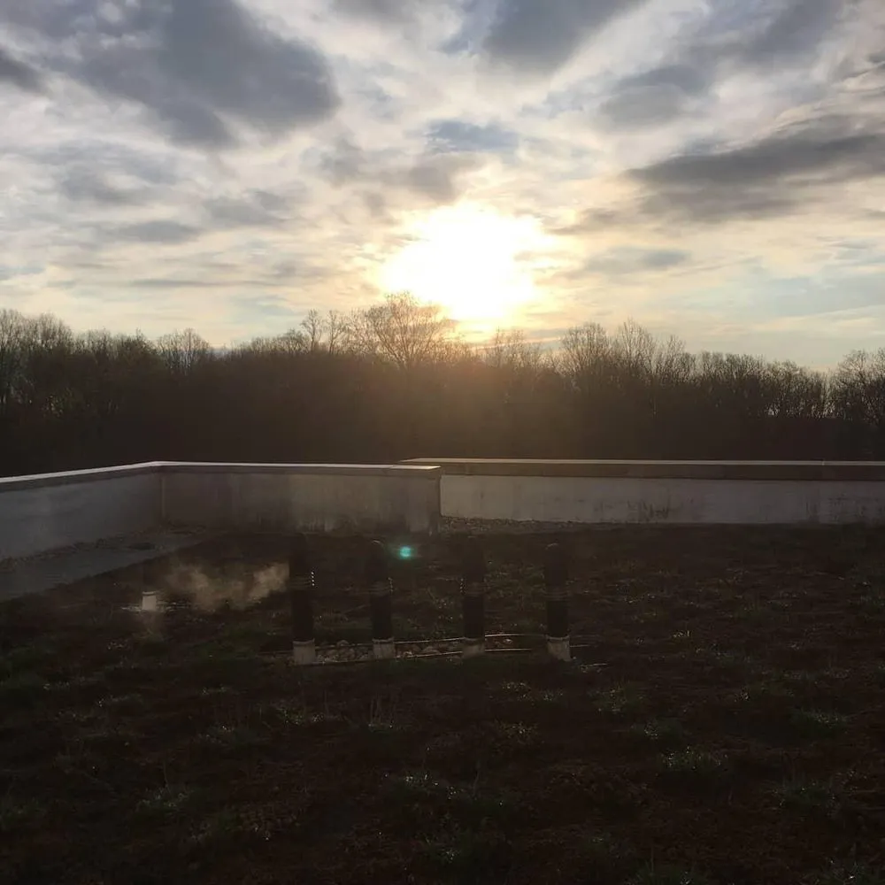 Local residential landscaping in Washington DC, DC by Hands Dirty Conservation Landscaping