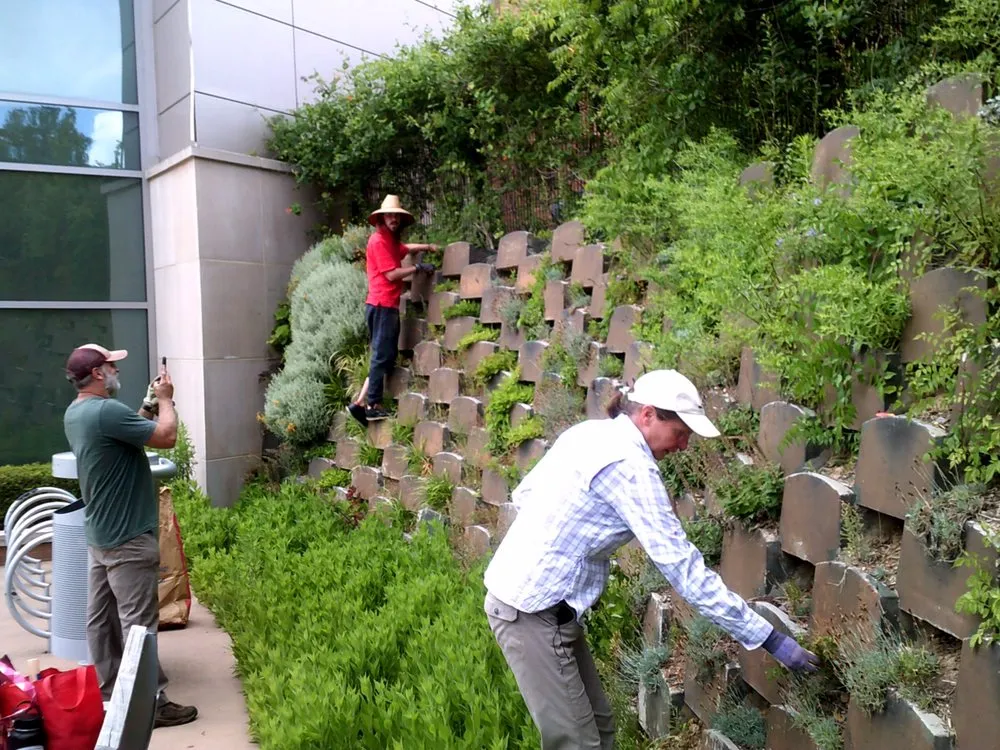 Expert residential landscaping for homes in Washington DC, DC by Hands Dirty Conservation Landscaping