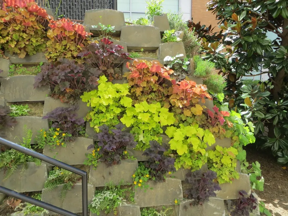 Affordable landscape design for residential properties in Washington DC, DC by Hands Dirty Conservation Landscaping