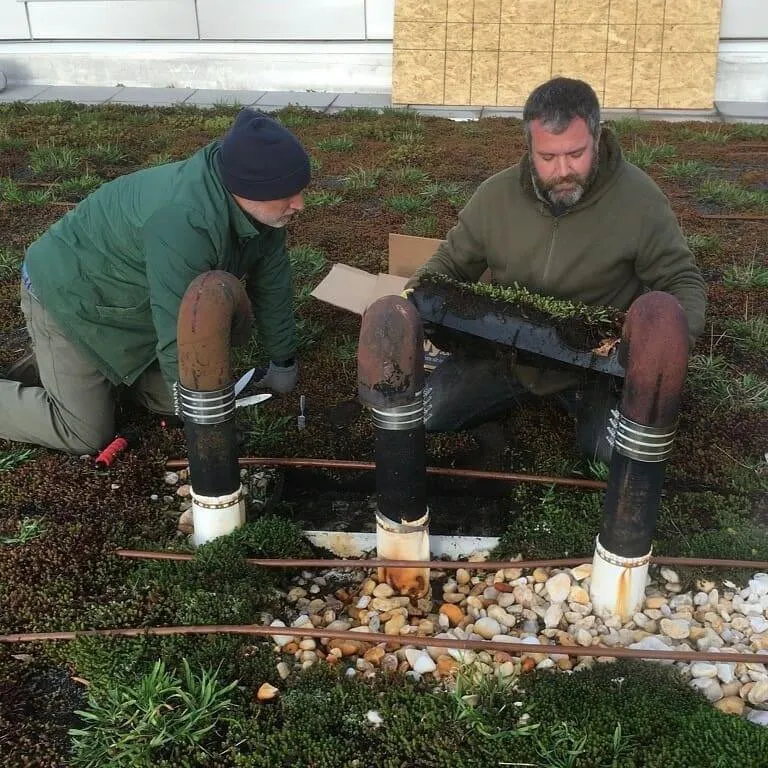 Professional landscape design in Washington DC, DC by Hands Dirty Conservation Landscaping