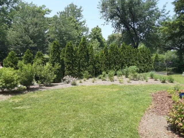 Local outdoor landscaping experts serving Washington DC, DC - Hands Dirty Conservation Landscaping