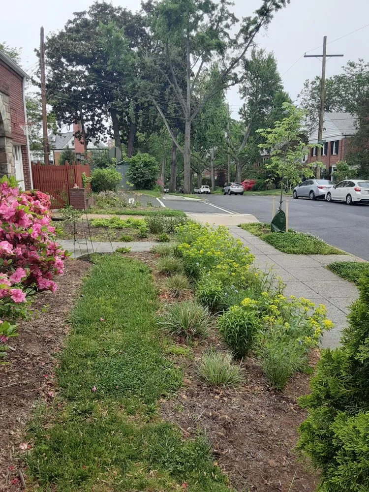 Expert outdoor landscaping experts serving Washington DC, DC - Hands Dirty Conservation Landscaping