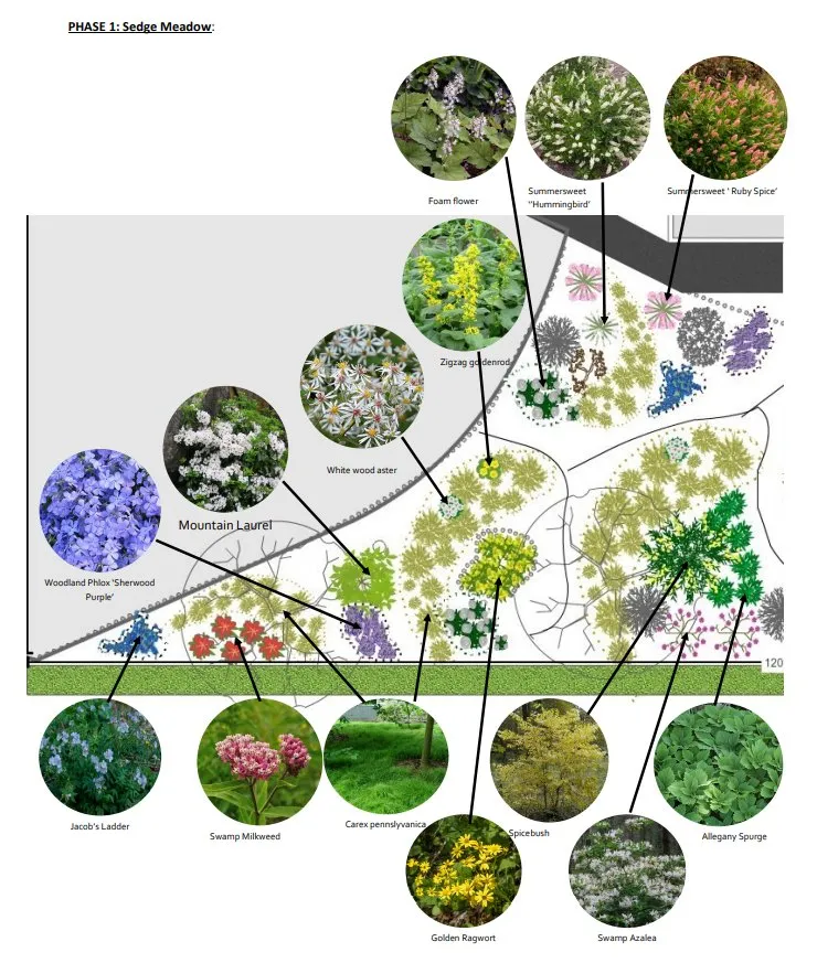 Top-rated lawn care service in Washington DC, DC by Hands Dirty Conservation Landscaping