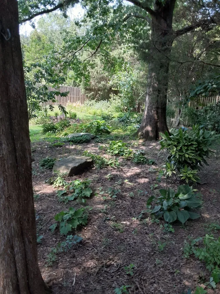 Professional yard cleanup service in Washington DC, DC by Hands Dirty Conservation Landscaping