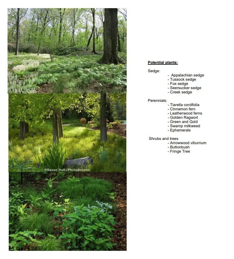 Affordable outdoor landscaping experts serving Washington DC, DC - Hands Dirty Conservation Landscaping