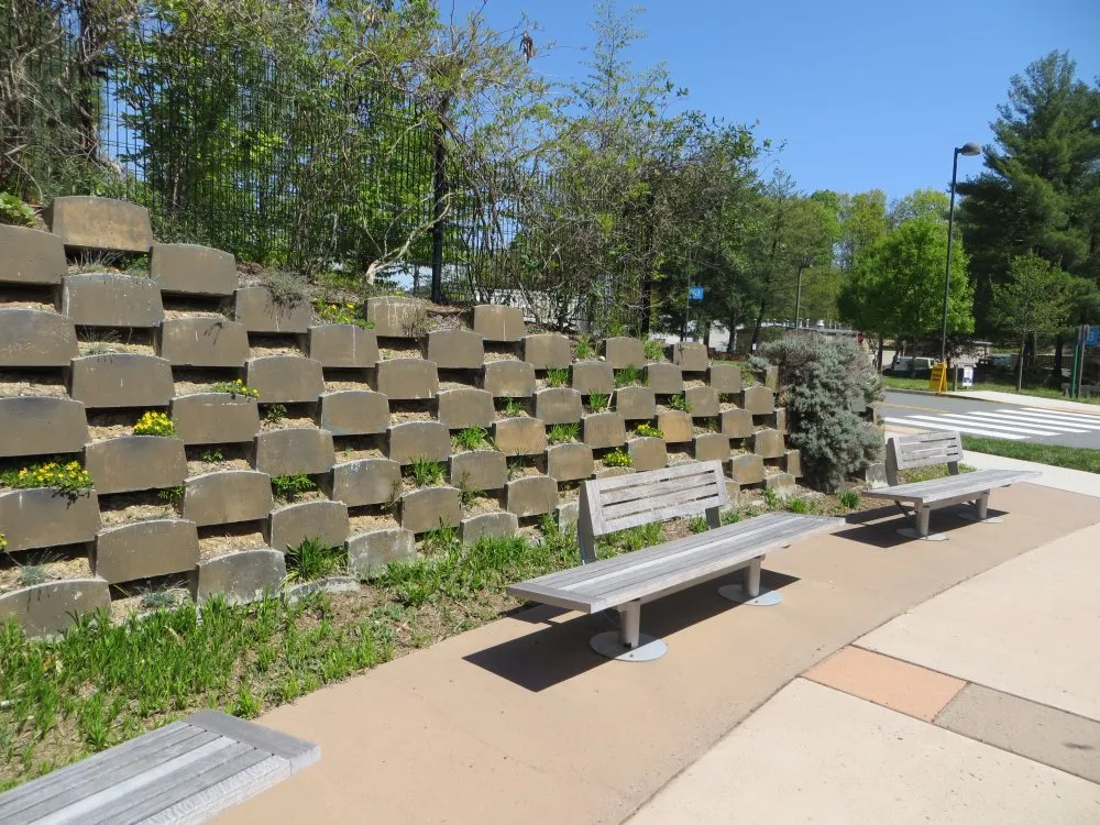 Expert landscaping services for beautiful yards across Washington DC, DC - Hands Dirty Conservation Landscaping