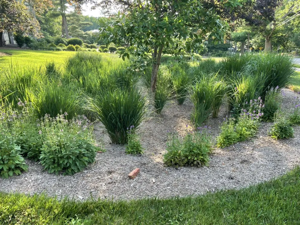 Expert landscape design near you across Washington DC, DC - Hands Dirty Conservation Landscaping
