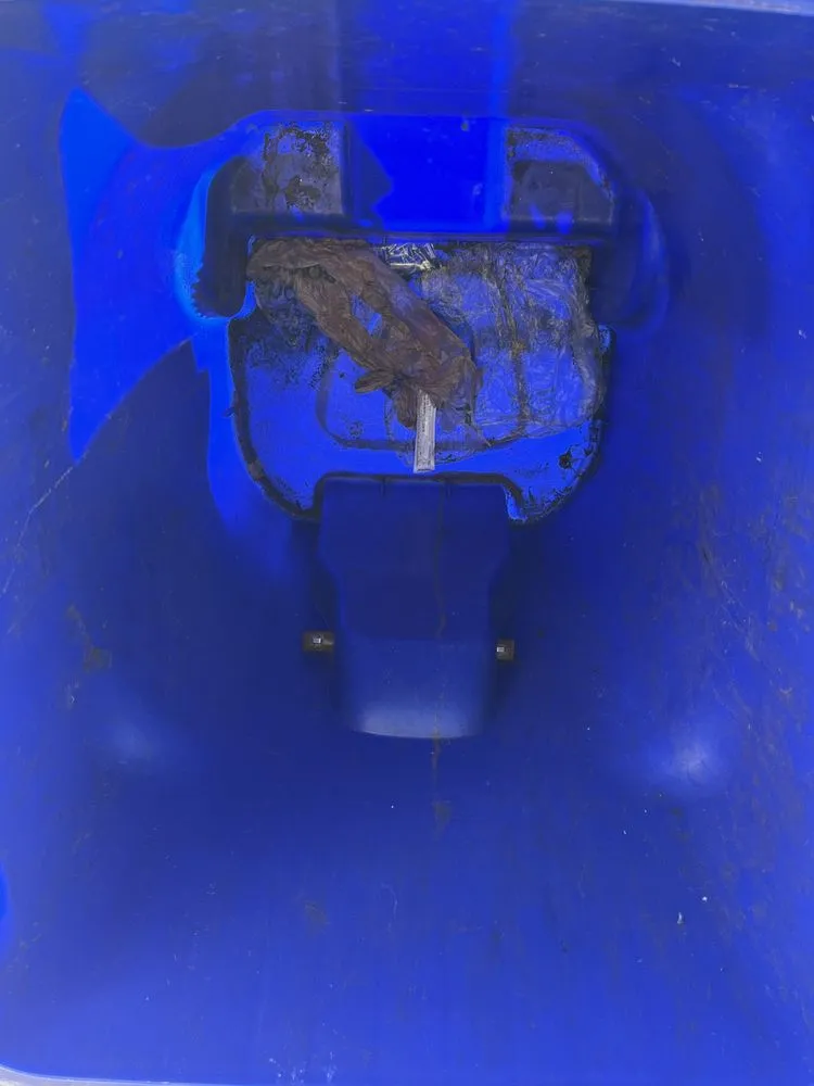 Top-rated residential landscaping in Jacksonville, FL by Hands On