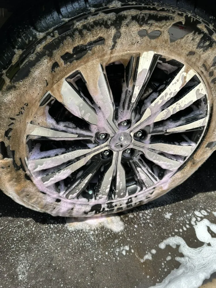 Professional landscape design experts serving Jacksonville, FL - Hands On