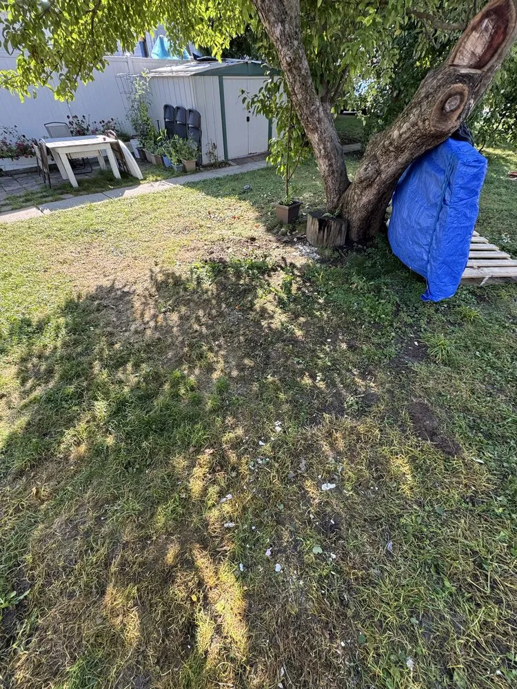 Professional yard cleanup service in Cudahy, WI by Hands on Labor