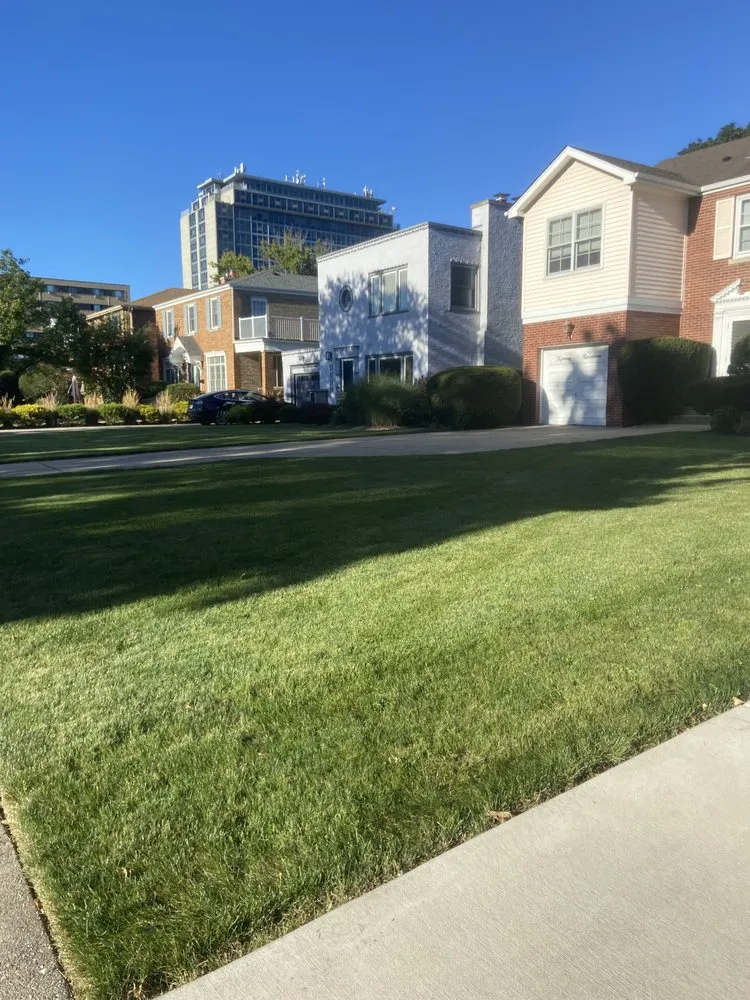 Local yard cleanup service experts serving Hammond, IN - Hands on Landscaping