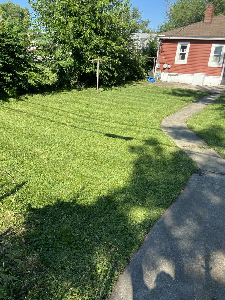 Affordable yard cleanup service in Hammond, IN by Hands on Landscaping